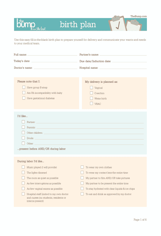 Archive birth plan template