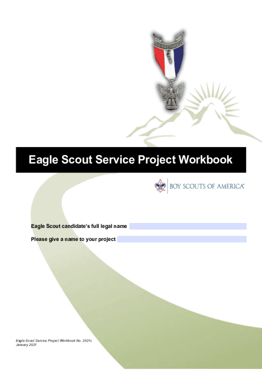 Manage boy scouts eagle project workbook Export to Excel 365 Bot
