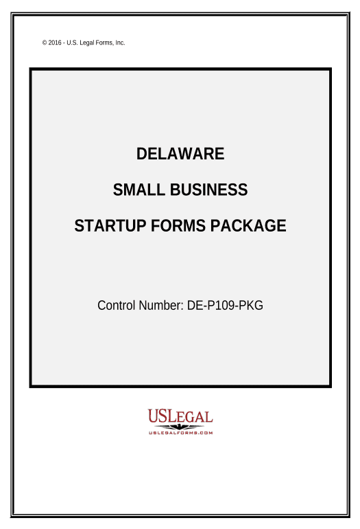 Synchronize Delaware Small Business Startup Package - Delaware Export to NetSuite Record Bot
