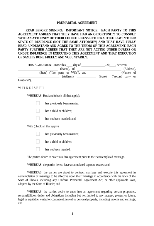 Export Illinois Prenuptial Premarital Agreement with Financial Statements - Illinois Pre-fill Document Bot