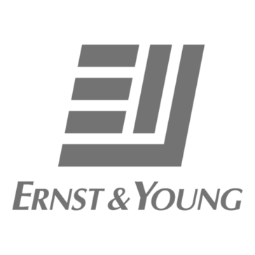 Ernst & Young Bot