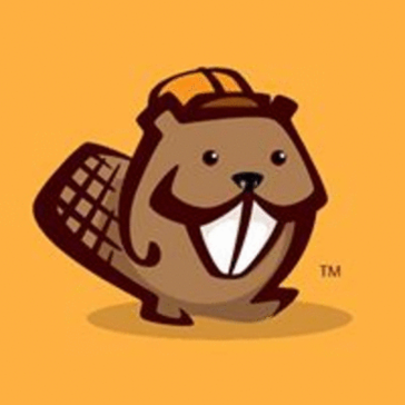 Beaver Builder Bot