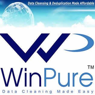 Extract from WinPure Clean & Match Bot