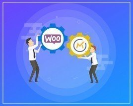 Pre-fill from Mautic WooCommerce Integration PRO Bot