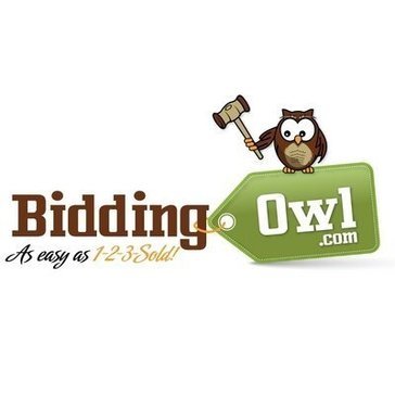Extract from BiddingOwl.com Bot