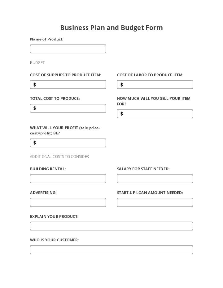 Business Plan and Budget Form 