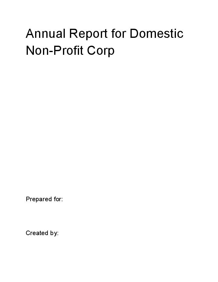The Annual Report  - Domestic Non-profit Corporation 