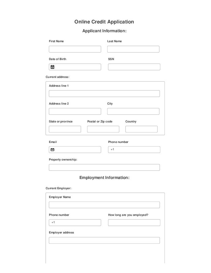 Automate online credit application Template using Datalot Bot