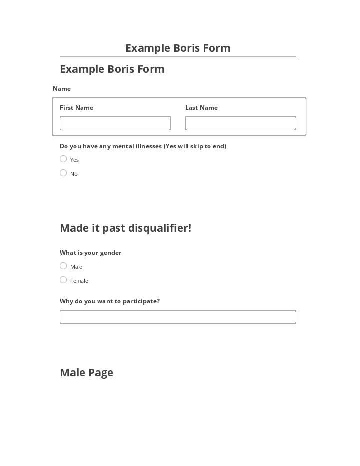 Export Example Boris Form