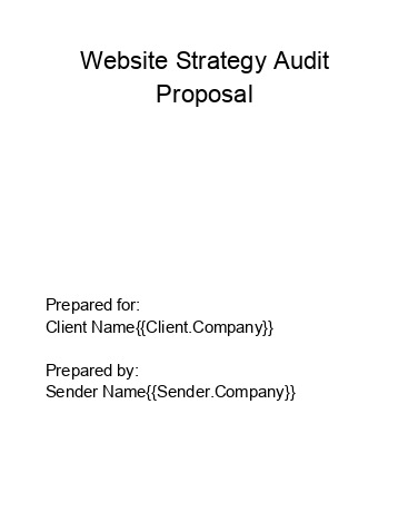 Incorporate Website Strategy Audit Proposal in Netsuite