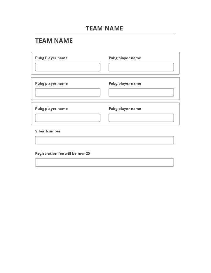 Manage TEAM NAME Netsuite