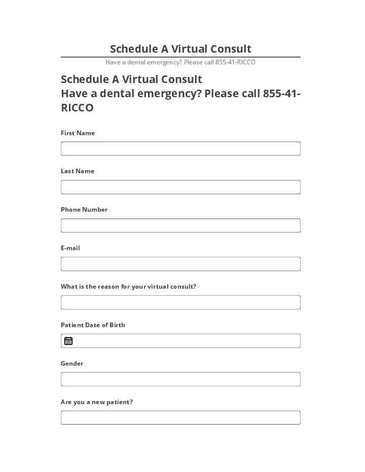 Export Schedule A Virtual Consult to Netsuite